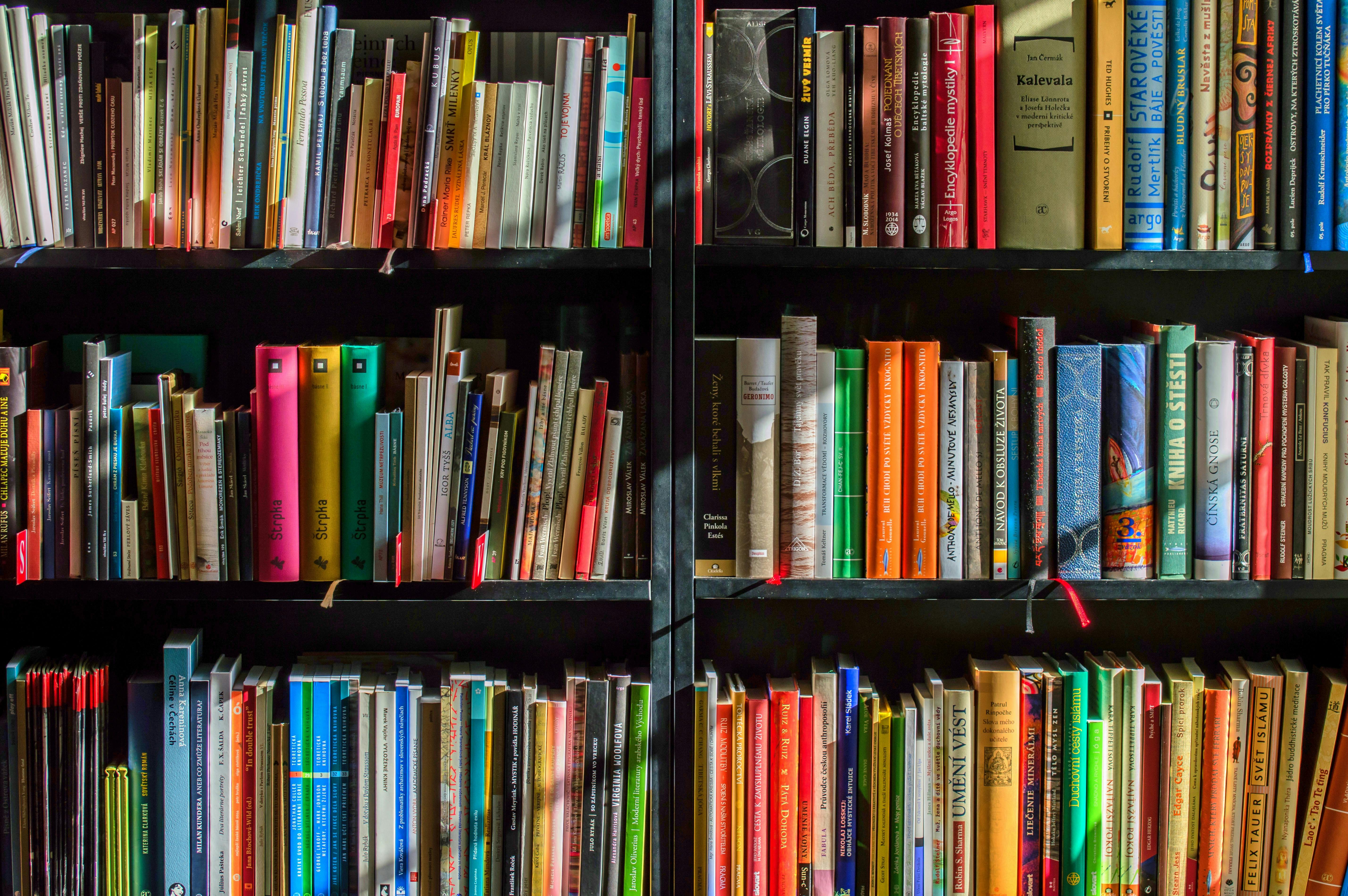 Books on a shelf.