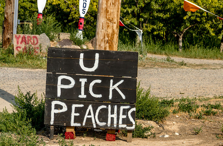 Farm-business-IDEAS.jpg Farm-business-IDEAS.jpg