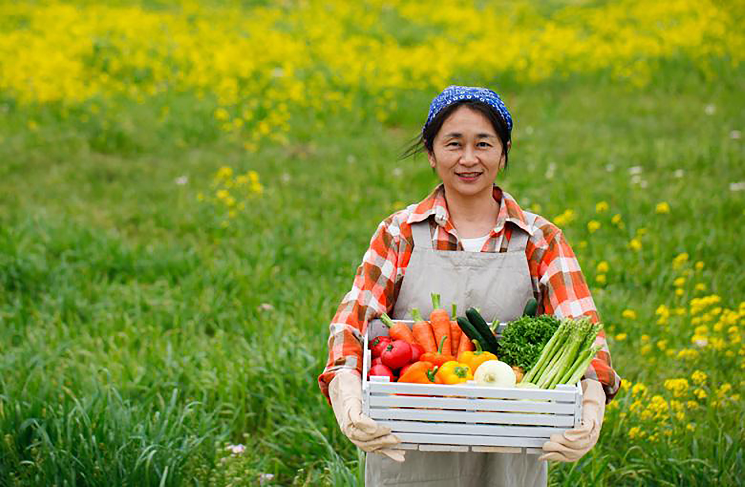farmer-vegetables-ideas-2.jpg farmer-vegetables-ideas-2.jpg