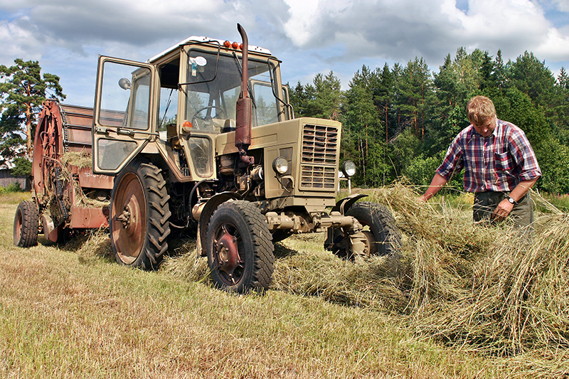 web-needles-in-a-haystack.jpg web-needles-in-a-haystack.jpg